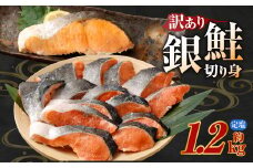 銀鮭カット 切り身 約1.2kg 定塩 バラ冷凍 形不揃いのため訳あり 銀鮭 鮭 塩鮭 サケ シャケ サーモン 切身 魚 冷凍 皮付き 焼き鮭 焼き魚 おかず 家庭用 熊本市