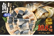 【定期便6か月】無塩鯖カット 約1.8kg 骨あり 朝食、お弁当のおかずにも最適 総量約10.8kg さば 鯖 サバ 無塩 切身 切り身 魚 冷凍 焼き鯖 焼き魚 おかず お弁当 定期便 熊本市
