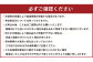 絢音ベリー農園 "絢" いちご 500g(250g× 2パック)ゆうべに 熊本県産 高級 フルーツ ギフト 厳選 希少