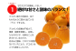 熊本県産デコポンと熊本市産青島みかんセット