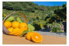 【訳アリ】「河内みかん堂」のみかん9kg＋傷み補償付き（家庭用）【2025年10月上旬～12月下旬迄発送予定】