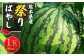 スイカ祭りばやし 1玉(8kg以上)