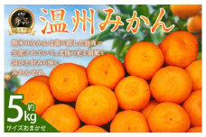 温州みかん 秀品約 5kg サイズおまかせ【2025年9月上旬～2026年2月下旬迄発送予定】みかん 果物 くだもの フルーツ 柑橘
