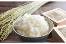 【訳あり】 【令和7年産】 くまさんの輝き10kg（2kg×5袋） 【2025年10月上旬～2026年1月下旬発送予定】 【ふるさと納税】 お米 コメ 新米 精米 白米 ごはん おにぎり 炊き込みご飯