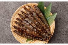冷凍活車エビ 500g （15～30尾） 無添加 車エビ 冷凍 活車エビ 海老 えび 熊本産 特殊冷凍