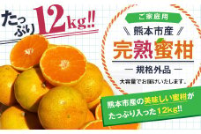 【規格外品】熊本市産 完熟 蜜柑 ご家庭用 12kg【2025年9月上旬～2026年2月上旬迄発送予定】 みかん ミカン 果物 フルーツ