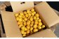 【規格外品】熊本市産 完熟 蜜柑 ご家庭用 12kg