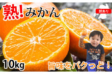 訳あり みかん 計10kg ミカン 蜜柑 果物 くだもの フルーツ 柑橘 【2025年10月上旬から2026年3月上旬迄発送予定】