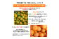 訳あり みかん 計10kg