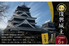 復興城主 有効期限6年 熊本城 城主の証 城主手形 デジタル芳名板（希望者のみ）