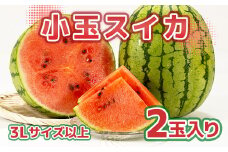 小玉スイカ 2Lサイズ以上 2玉入り 西瓜 すいか 青果物 果物 フルーツ 【2025年7月上旬～8月上旬迄発送予定】