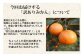 訳ありみかん 約5kg