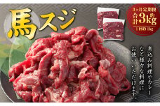 【3ヶ月定期便】 馬スジ 1kg （500g×2パック） 計3kg 馬肉 馬 お肉 肉 おかず 冷凍