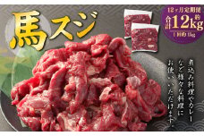 【12ヶ月定期便】 馬スジ 1kg （500g×2パック） 計12kg 馬肉 馬 お肉 肉 おかず 冷凍