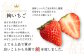 【絢】 いちご 約1kg （約250g×4） ゆうべに 苺 【絢音ベリー農園】 厳選 希少