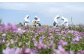 熊本 杉養蜂園 果汁入りはちみつ 1,000g 蜂蜜