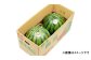 熊本県産 大玉スイカ 1玉 （2L以上・約7kg）
