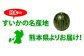 訳あり 小玉すいか 2玉 （約2～3kg）