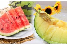 熊本県産 小玉スイカ & アールスメロン 食べ比べ （計2玉約3.5kg） 【2025年7月下旬迄発送予定】 小玉すいか 小玉西瓜 スイカ すいか 西瓜 メロン めろん 果物 果実 フルーツ 贈り物 セット 九州 熊本県 熊本市 常温