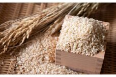 【令和7年産】【玄米】 森のくまさん 玄米30kg（5kg×6袋） 【2025年11月下旬より順次発送開始】 米 お米 ごはん ご飯 常温 熊本県 熊本市