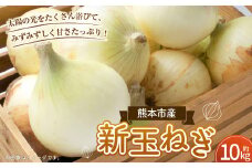 【数量限定】新玉ねぎ 約 10kg 野菜 やさい 玉ねぎ たまねぎ タマネギ 玉葱 オニオン スライス 国産 熊本 熊本市【2026年3月下旬～4月下旬発送予定】