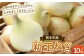 新玉ねぎ
