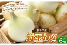 【数量限定】新玉ねぎ 約 6kg 野菜 やさい 玉ねぎ たまねぎ タマネギ 玉葱 オニオン スライス 国産 熊本 熊本市【2026年3月下旬～4月下旬発送予定】