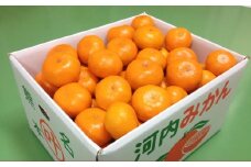 叶果樹園 みかん 家庭用 約9kg（S～Lサイズ混合80～100個） ミカン フルーツ 果物 くだもの サイズ混合 常温 国産 【2025年10月下旬～12月上旬迄順次発送予定】