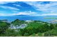 叶果樹園 みかん 家庭用 約9kg（S～Lサイズ混合80～100個）