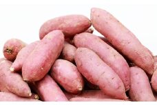 紅はるか 約5kg（9～38個） 【2025年11月下旬～2026年6月上旬発送予定】 さつまいも サイマイモ 野菜 いも