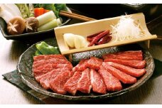 くまもと あか牛（GI） 焼肉用 500g 牛肉 熊本 お肉 