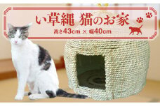 い草縄 猫のお家