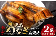 熊本県八代市産 天然うなぎ白焼き(中) 2本 (計300～350g) 蒲焼のたれ付き