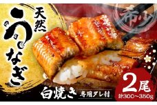 熊本県八代市産 天然うなぎ白焼き(中) 2本 (計300～350g) 蒲焼のたれ付き