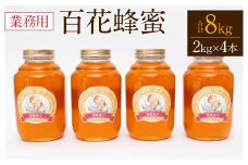 八代市 はちみつ 業務用 百花蜂蜜 2kgビン×4本セット 計8kg