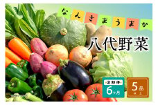 【定期便6回】なんさまうまか八代野菜セット 5品以上 やさい 詰め合わせ 熊本県産