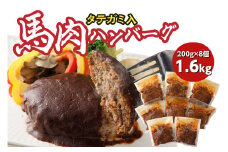 FN タテガミ入り 馬肉 ハンバーグ ( デミソース ) 8個 セット