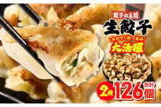 餃子の王国 人気生餃子 126個 2種類 黒豚生餃子30個/工場直売生餃子96個 餃子 セット 食べ比べ 詰合せ ギョウザ ぎょうざ 中華 ショウガ おかず 惣菜 国産 八代市東陽町の生姜を使用 熊本県 九州 冷凍【順次発送】