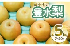 ＼人気急上昇中！／豊水梨 約5kg 7～20玉 熊本県産