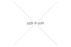 【訳あり】 厳選 鮮魚 西京漬け 1.2kg 銀だら入り たっぷり 20枚 西京焼き 4切れ×5袋 （魚 さかな 漬魚 おまかせ 西京味噌 鯖 赤魚 カレイ サワラ 銀鱈 銀ダラ 惣菜 弁当 おかず 冷）【2026年1月発送】