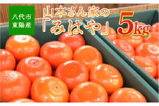 【先行予約】八代市東陽産 山本さん家の「みはや」5kg【2025年12月上旬より順次発送】