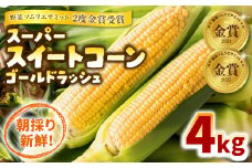 熊本県八代市産 スーパースイートコーン ゴールドラッシュ 4kg スイートコーン とうもろこし コーン 朝採り 高糖度