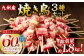 九州産 焼き鳥 セット 60本 焼き鳥 鶏肉 バーベキュー