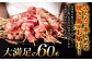 九州産 焼き鳥 セット 60本 焼き鳥 鶏肉 バーベキュー