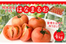 【先行予約】 熊本県産 トマト はなまるお 4kg トマト とまと 新鮮 サラダ 野菜 やさい 八代市産 九州 【2025年11月上旬より順次発送】