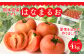 熊本県産トマト はなまるお4kg