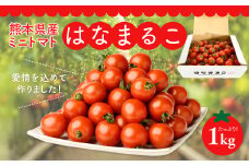【先行予約】 熊本県産 ミニトマト はなまるこ 1kg トマト とまと 新鮮 サラダ 野菜 やさい 八代市産 九州 【2025年11月上旬より順次発送】