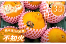 【先行予約】 熊本県 八代市産 不知火 （しらぬい） 約3kg 蜜柑 ミカン みかん ポンカン 【2026年1月中旬より順次発送】