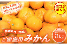 【先行予約】 【訳あり】 熊本県八代市産 ご家庭用みかん5kg 蜜柑 柑橘 ミカン 【2025年9月下旬より順次発送】