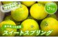 プチプチとした粒立ちのよいはっさくの食感と、温州みかんの旨味が一度に楽しめます。